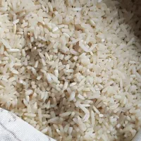 برنج نیم دانه هاشمی درجه یک گیلان|خوردنی و آشامیدنی|تهران, وحیدیه|دیوار