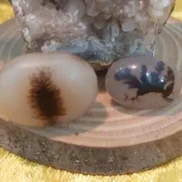 نگین شجر قائن