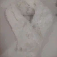 شال و کلاه|لباس|تهران, بریانک|دیوار