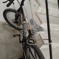 دوچرخه ۲۶ ویوا|دوچرخه، اسکیت، اسکوتر|بیرجند, |دیوار