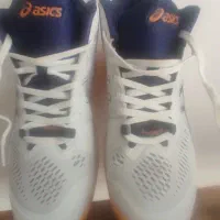 کفش والیبال|کیف، کفش، کمربند|گنبد کاووس, |دیوار