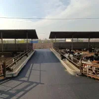 آسفالت‌کاری فوری در گرمدره وکرج چند اکیپ فعال