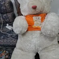 خرس‌‌سفید