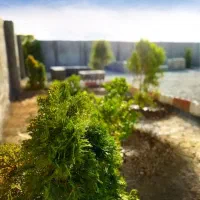 227 متر باغ و باغچه منطقه سرسبز و دنج|فروش زمین و ملک کلنگی|شهریار, اصیل آباد|دیوار