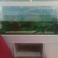 آکواریوم با ماهی معاوضه فقط با پرنده ومرغ یا فروش|ماهی|کرج, چهارصد دستگاه|دیوار