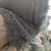 پارچه خز و تدی ببئی ایرانی و خارجی|لوازم خیاطی و بافتنی|تهران, شهرک ولیعصر جنوبی|دیوار