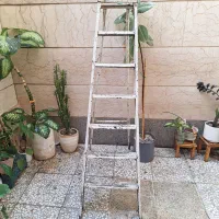 نردبان