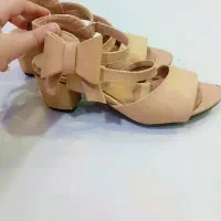 کفش مجلسی