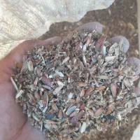 ضایعات تخمه