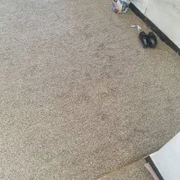 فروش چند قلم موکت و گلیم فرش تمیز باهم|موکت|شوش, |دیوار