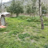 600متری  اطاقور|فروش زمین و ملک کلنگی|اطاقور, |دیوار