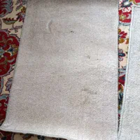 پادری رنگ طوسی