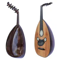 آموزش عود
