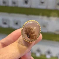 انگشترعقیق شجر