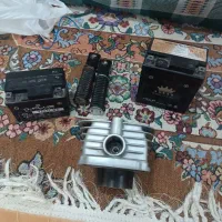 باپرنده طوطی سالم|پرنده|میناب, |دیوار