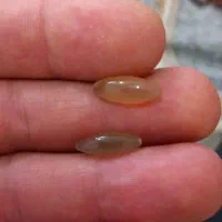 سنگ مهرە اصلی ب شرط کار|بدلیجات|اصفهان, بهارستان|دیوار