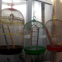 قفس های زینتی برای پرندگان زینتی|لوازم جانبی حیوانات|مرند, |دیوار