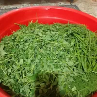 سبزی خورشتی اش وکوکو