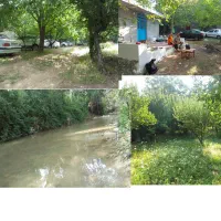 تفرجگاه دلگشا