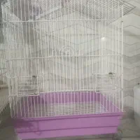 قفس پرنده عروس