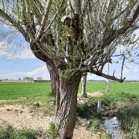 موتور آب زمین کشاورزی