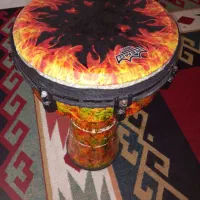 جیمبی سایز ۱۴ دهنه ۴۰|درام و پرکاشن|بوشهر, |دیوار