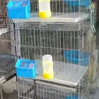 قفس تاشو کبوتری