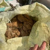 کود مرغی|خدمات باغبانی و درختکاری|لنگرود, |دیوار