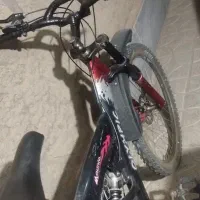 دوچرخه|دوچرخه، اسکیت، اسکوتر|شاهین‌شهر, گزبرخوار|دیوار