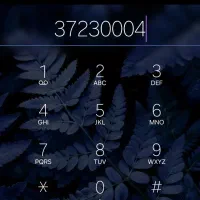 خط تلفن رند مجد وقرنی