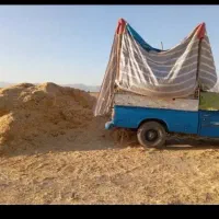 کاه لوبیا مرغوب