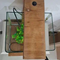 فروش آکواریوم شیشه خم