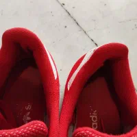 کتونی سوپر استار اورجینال zx8000 جا اکبند|کیف، کفش، کمربند|تهران, تهرانسر غربی|دیوار