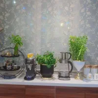 پرده زبرا در حد نو