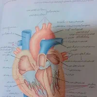 کتاب تست نو نو دست نخورده|کتاب و مجله آموزشی|میناب, |دیوار