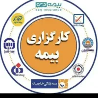 بهت یاد میدم درآمد بیمه ای بالا ببرید