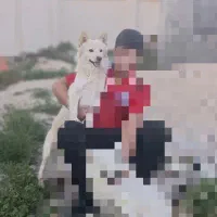 واگذاری یک قلاده سگ|سگ|جم, |دیوار