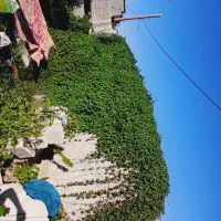 فروش-زمین-عقیلی-روستای-کایدون