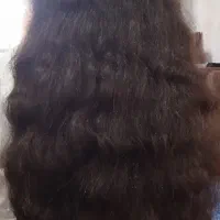 فروش مو|آرایشی، بهداشتی، درمانی|یاسوج, |دیوار