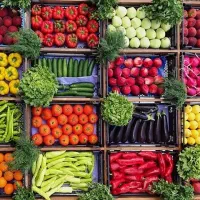 میدان بار دزفول