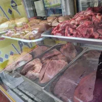 جگر بچه شتر و مغز بچه شتر