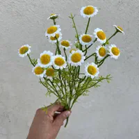 بوته بابونه مصنوعی عمده