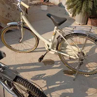 دوچرخه قناری سایز ۲۴کلکسیونی