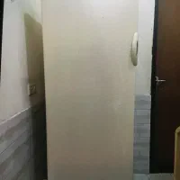 یخچال فریزر ارج