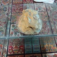 ماهی رتیل|ماهی|اندیشه, شهرک المهدی|دیوار