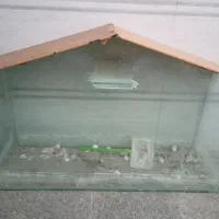 سلام آکواریم