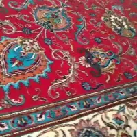 فرش دستباف 12 متری