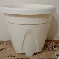 گلدان پلاستیکی