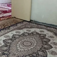 ویلایی۲طبقه طبقه همکف۶۵متر۱خواب محمدشهر چمران۱نور۷|اجارهٔ خانه و ویلا|محمدشهر, شهرک چمران|دیوار