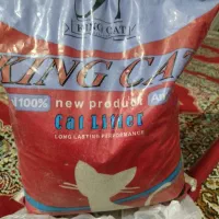 خاک گربه